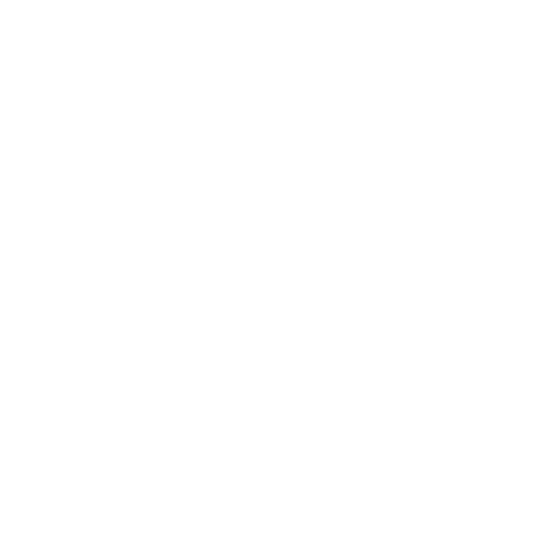 300 Fitness